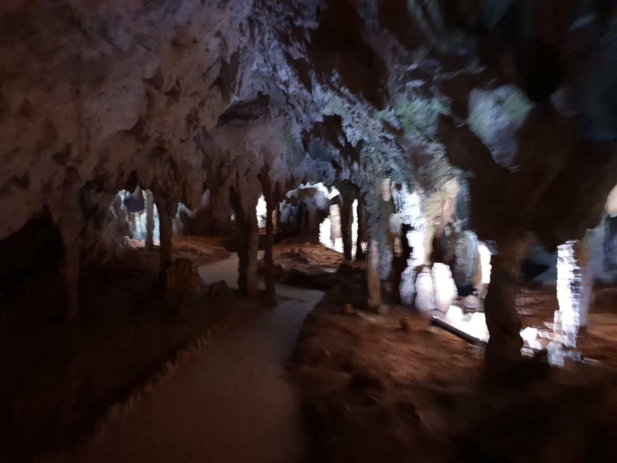 AulettaL'Oasi住宿加早餐旅馆 外观 照片